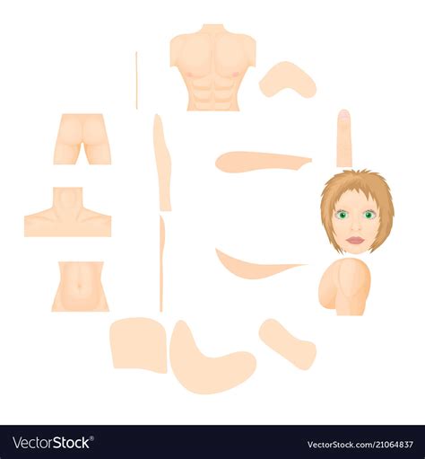 Body Parts Icons Set Cartoon Style Royalty Free Vector Image