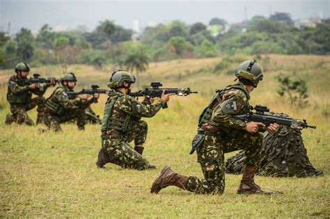 Evolução Dos Grupos De Combate Do Exército Brasileiro Forças