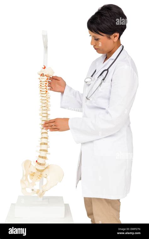 Side View Of A Female Doctor Holding Skeleton Model Stock Photo Alamy