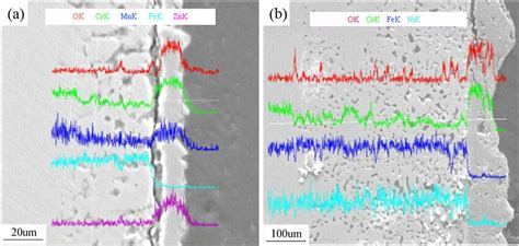 Cross Sectional Morphologies Of Ss After Corrosion In Ternary