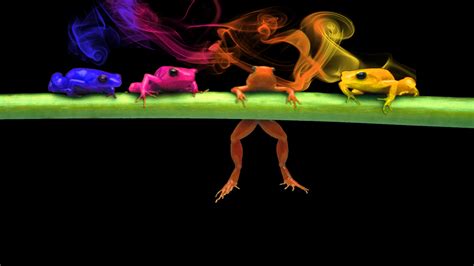 Colorful Frogs by Modifidious on DeviantArt