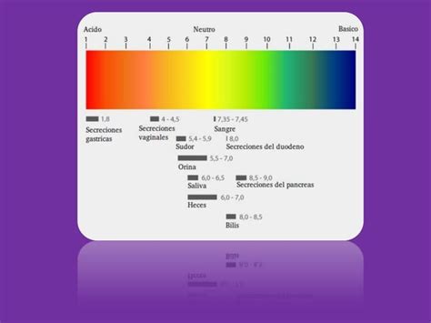 Regulaci N Del Equilibrio Cido Base Ppt