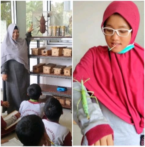 Cerita Afif Murid SDIT QA Baitussalam Tentang Belalang Dan Lebah