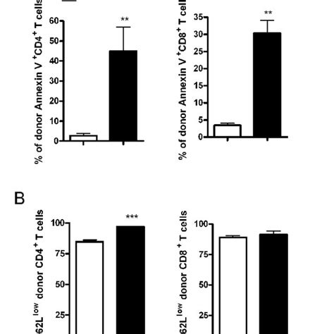 Anti Cd137 Mab Induces Apoptosis Of Both Donor Cd4 And Cd8 T Cells