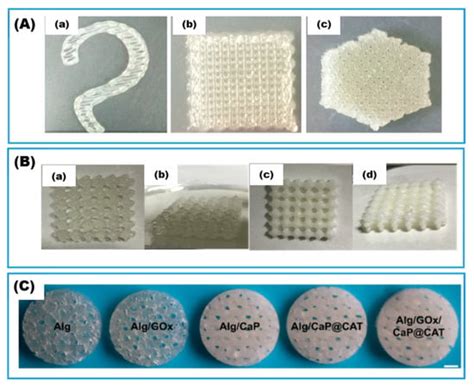 Gels Free Full Text Advances In D Gel Printing For Enzyme