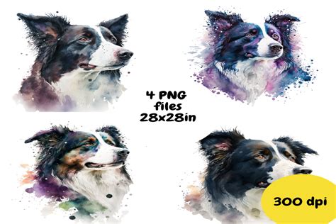 Border Collie Watercolor Graphic By Feefifo Studio · Creative Fabrica