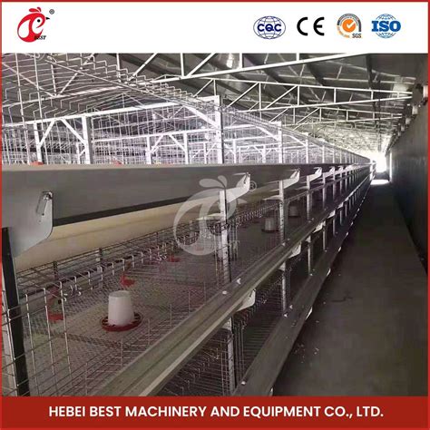 Bestchickencage H Frame Broiler Cages China Automatic Feeding Chicken