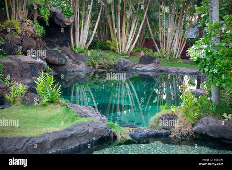 Étang Et Jardin à Na Aina Kai Botanical Gardens Kauai Hawaii Photo