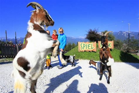 Der Wilde Berg Mautern In Mautern In Der Steiermark