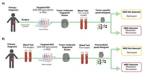 Ijms Free Full Text Circulating Tumor Dna In Precision Oncology And