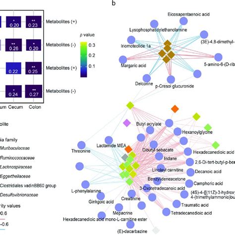 The Relationship Between Gut Microbiome And Host Serum Metabolome A