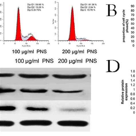 Pns Confine Osteosarcoma B Cells In The G G Phase In Vitro A B