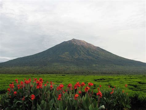 Puncak Tertinggi Di Indonesia Newstempo