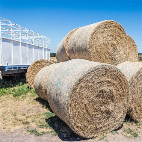 Round Hay Bales Stock Photo Image Of Bale Stacked Feed 41948644