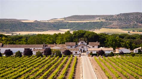 Dehesa De Los Can Nigos Quinta Generaci N Vino Ribera Del Duero