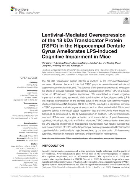 PDF Lentiviral Mediated Overexpression Of The 18 KDa Translocator