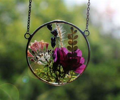 Pressed Plant Frame Pressed Flower Pressed Flower Frame Framed Dried