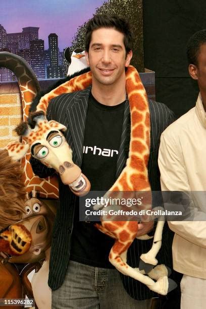 414 Schwimmer Madagascar Photos & High Res Pictures - Getty Images