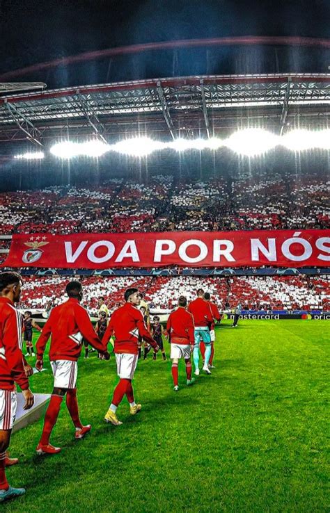 Pin De Psycho In The North Em Wallpaper Sport Lisboa E Benfica