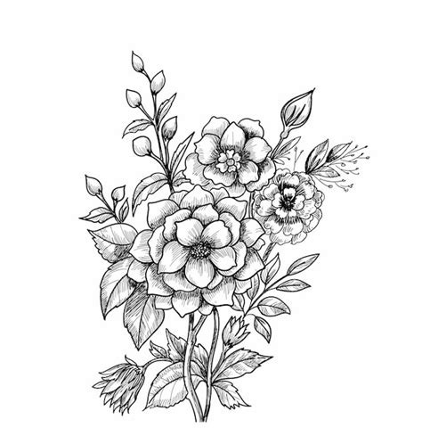 Dibujo Floral Decorativo Vector Gratis