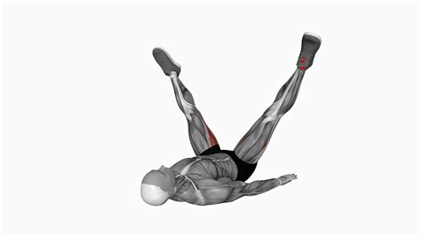 Mastering The Adductor Dynamic Stretch A Beginner S Guide To Enhanced