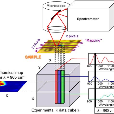 The Multivariate Curve Resolution In Hyperspectral Imaging The Download Scientific Diagram