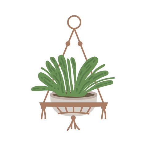 home depot hanging plant 2