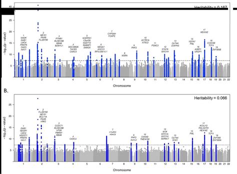 Manhattan Plots For Genome Wide Association Analysis Of Frequent A