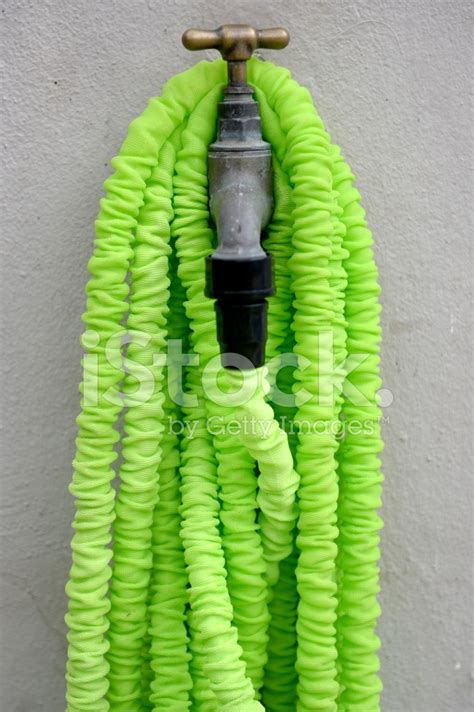 Garden Hose Stock Photo | Royalty-Free | FreeImages