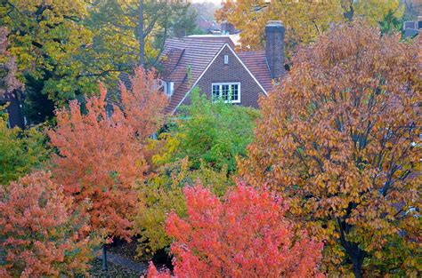 Autumn In The Gardens Joe Shlabotnik Flickr