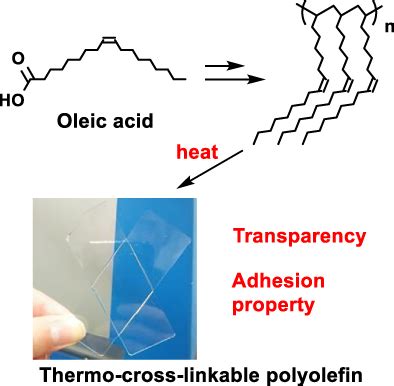 Synthesis And Characterization Of A Thermally Crosslinkable Polyolefin