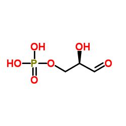 Glyceraldehyde 3 phosphate - Alchetron, the free social encyclopedia