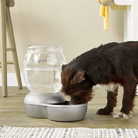 Petmate Replendish Gravity Waterer Cat And Dog Water Dispenser 05 Gal