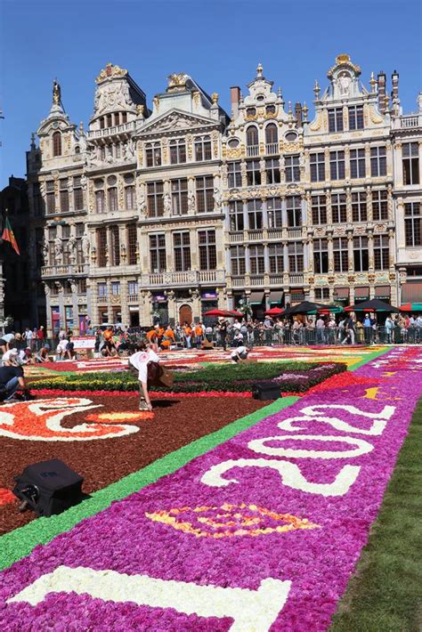 Tapis De Fleurs Grand Place De Bruxelles La Terre Est Un Jardin