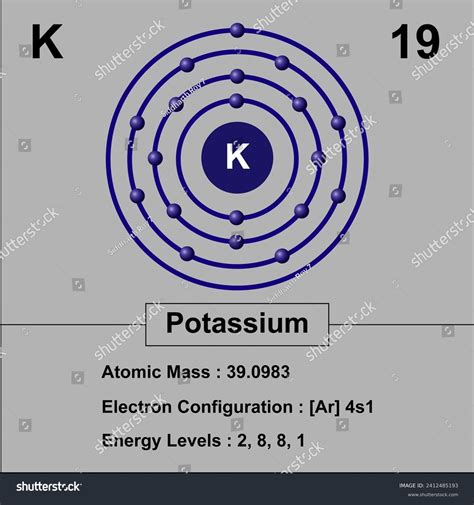 Potassium Electron Configuration Diagram Atomic Mass Stock Illustration