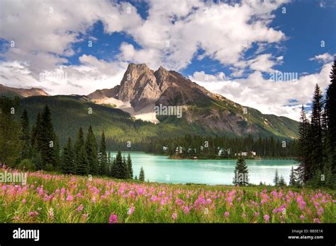 Canada British Columbia Yoho National Park View Of Emerald Lake And