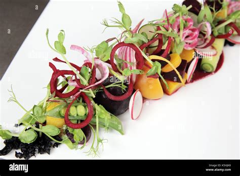 Modern fine dining raw beet salad on white background. Colorful Stock ...