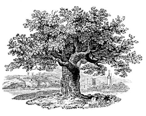 The Tree An Engraving By Thomas Bewick Wood Engraving Woodcut