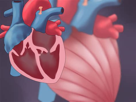 3 Ways to Determine Cardiac Output - wikiHow