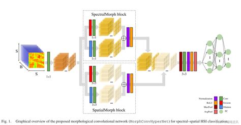 高光谱分类论文解读分享之基于形态卷积神经网络的高光谱影像分类光谱和神经网络论文 Csdn博客