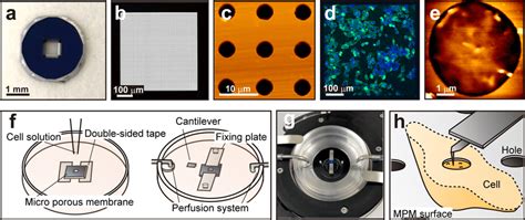 Microporous Silicon Nitride Membrane Mpm And Its Application To The