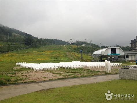 홀리데이인 알펜시아 평창 리조트 숙박 정보와 주변 관광 명소 및 근처 맛집 여행 정보