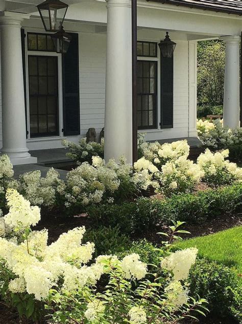 front yard landscaping ideas with hydrangeas