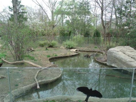 North American River Otter Enclosure Prospect Park Zoo Gallery