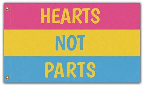 Hearts Not Parts Pansexual Pride Flag Lgbtq Lgbtqia Love Is Love