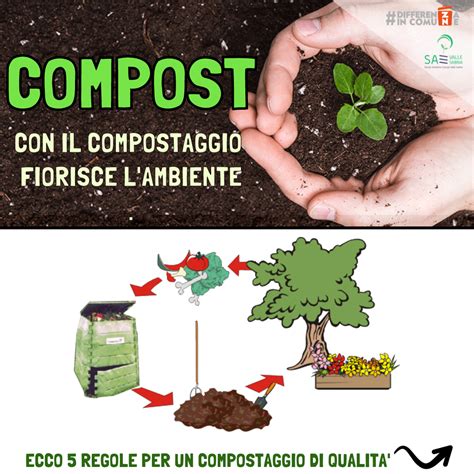 Che cosè il compostaggio differenzaincomune