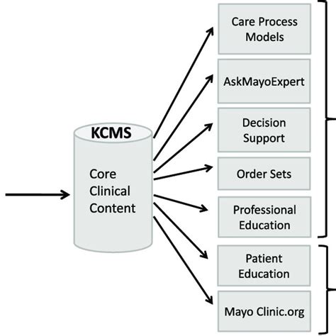 Knowledge Management At Mayo Clinic This Diagram Illustrates The