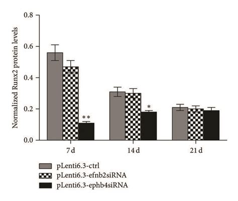 Disturbed Expression Of Ephb4 But Not Ephrinb2 Significantly Download Scientific Diagram