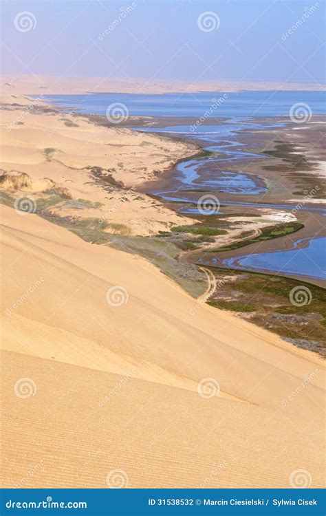 View on Sandwich Harbour stock photo. Image of dune, skeleton - 31538532