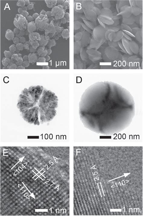 The influence of pH on Fe2O3 NP morphology. SEM images of (A) Fe2O3 ...